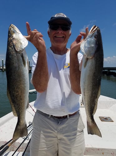 Action-Packed Alabama Coast In Gulf Shores