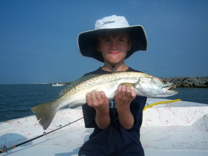 Action-Packed Alabama Coast In Gulf Shores