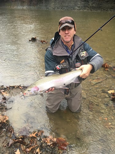 Elite Steelhead Adventure In Conneaut