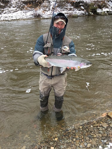 Elite Steelhead Adventure In Conneaut