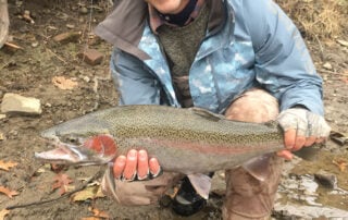 Elite Steelhead Adventure In Conneaut