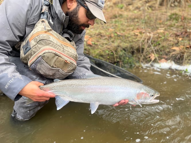 Elite Steelhead Adventure In Conneaut