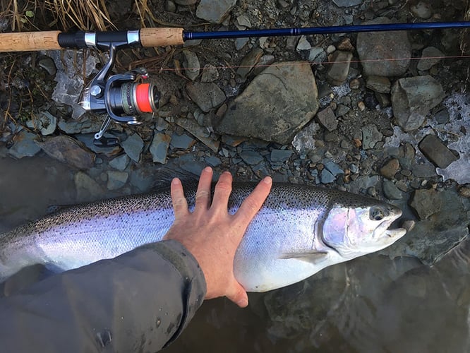 Elite Steelhead Adventure In Conneaut