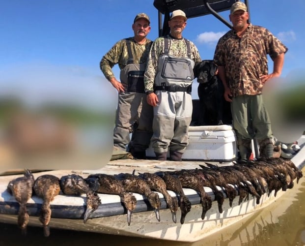 Matagorda Bay Duck Hunt In Wharton