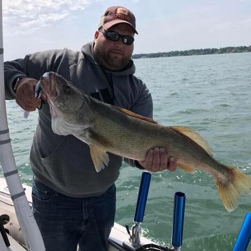 Lake Erie Walleye Roundup In Lorain