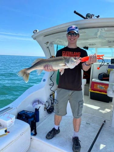 Lake Erie Walleye Roundup In Lorain