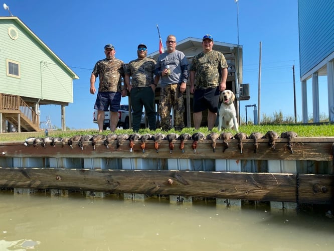 Matagorda Bay Duck Hunt In Wharton