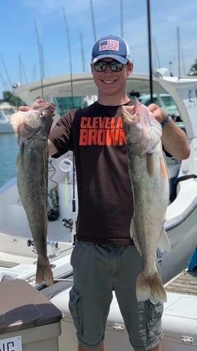 Lake Erie Walleye Roundup In Lorain