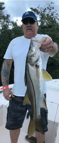 Puerto Rico Tarpon Charter In Carolina