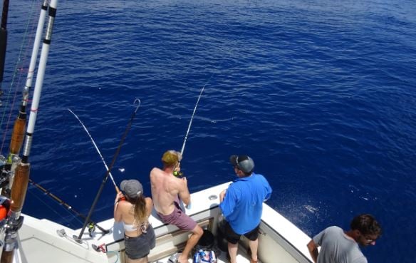 Port Aransas Offshore Excursion In Port Aransas