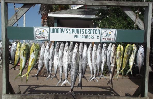 Port Aransas Offshore Excursion In Port Aransas