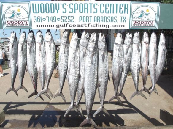 Port Aransas Offshore Excursion In Port Aransas
