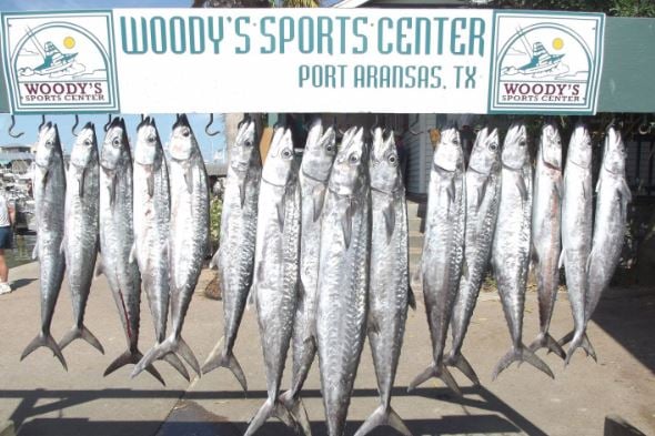 Port Aransas Offshore Excursion In Port Aransas