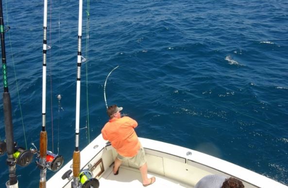 Port Aransas Offshore Excursion In Port Aransas