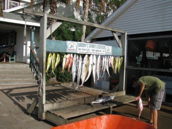 Port Aransas Offshore Excursion In Port Aransas