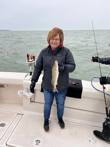 Walleye Trolling Afternoon (PM) In Port Clinton