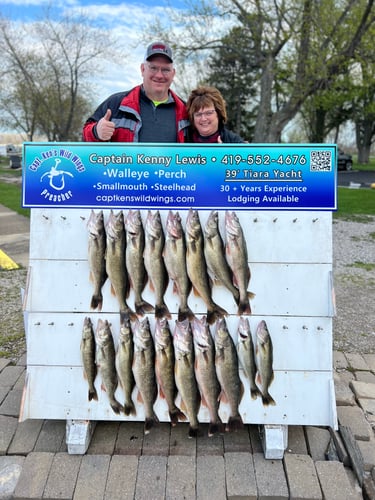 Walleye Trolling Afternoon (PM) In Port Clinton