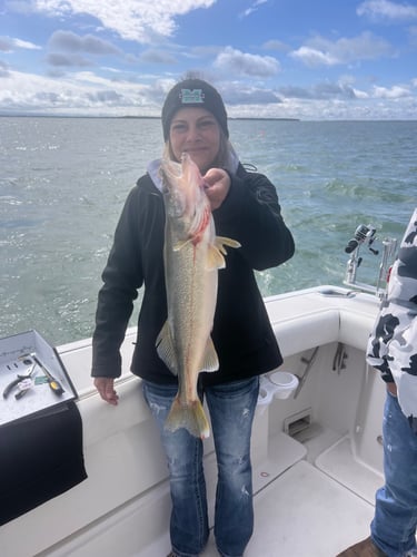 Walleye Trolling Afternoon (PM) In Port Clinton