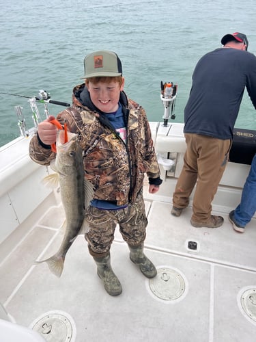 Walleye Trolling Afternoon (PM) In Port Clinton