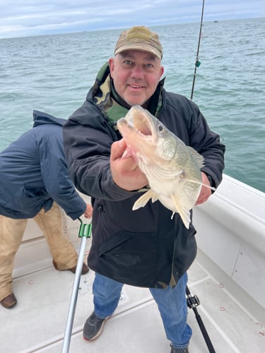 Walleye Trolling Afternoon (PM) In Port Clinton