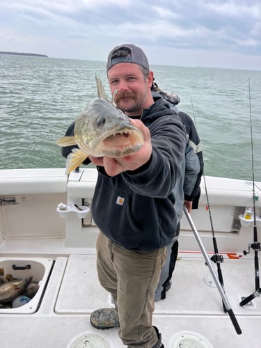 Walleye Trolling Afternoon (PM) In Port Clinton