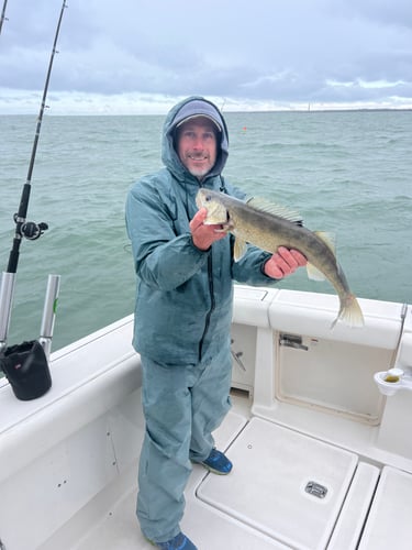 Walleye Trolling Afternoon (PM) In Port Clinton