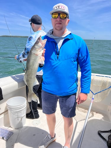 Walleye Trolling Morning (AM) In Port Clinton