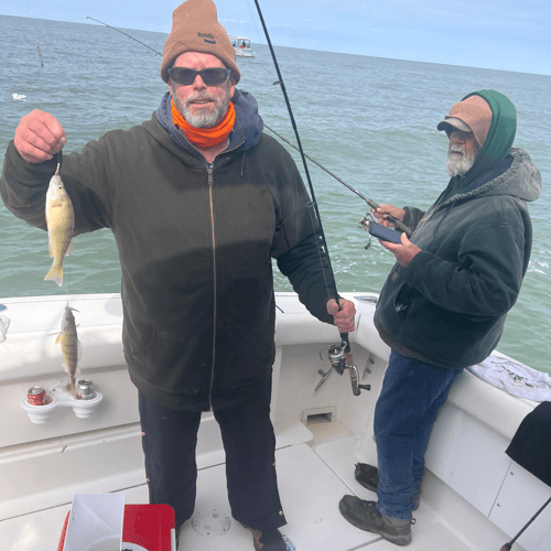 Yellow Perch And Smallmouth In Port Clinton