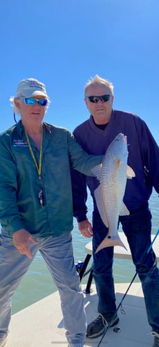 Port Isabel 5-Hour Trip - 25' Majek in Port Isabel