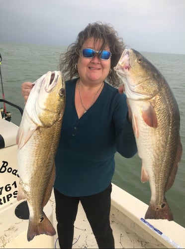 Port Isabel 5-Hour Trip - 25' Majek in Port Isabel