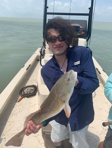 Port Isabel 5-Hour Trip - 25' Majek in Port Isabel