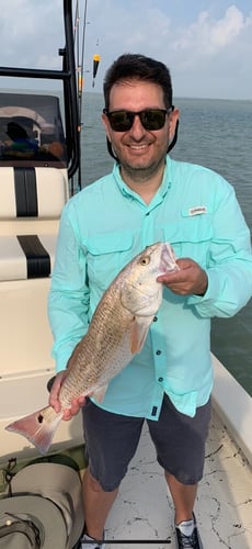 Port Isabel 5-Hour Trip - 25' Majek in Port Isabel