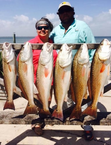 Port Isabel 5-Hour Trip - 25' Majek in Port Isabel