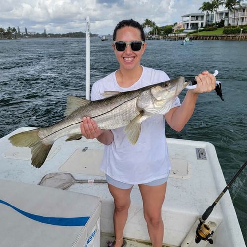 Loxahatchee River Snook in Jupiter