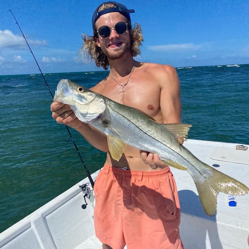 Loxahatchee River Snook in Jupiter