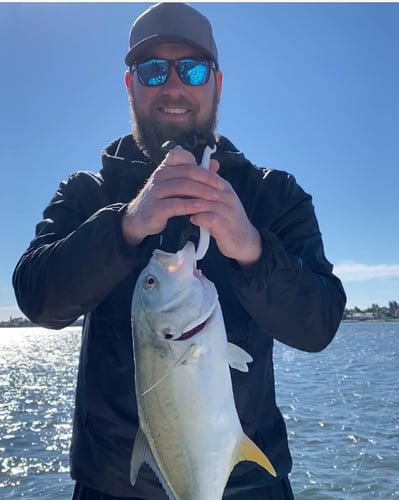 Loxahatchee River Snook in Jupiter