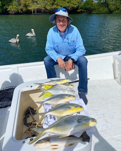 Loxahatchee River Snook in Jupiter