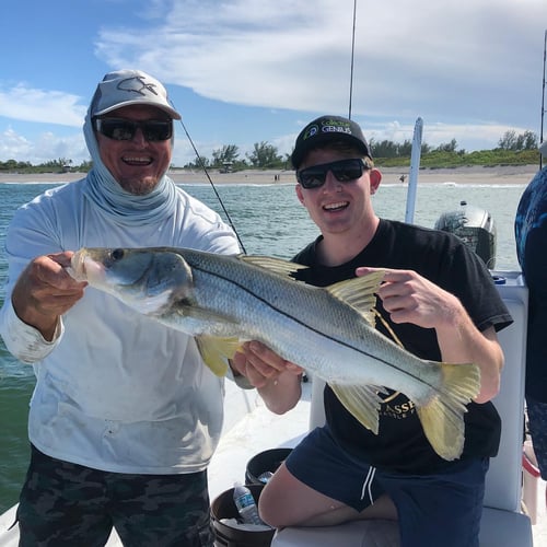Loxahatchee River Snook in Jupiter