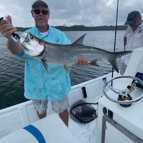 Loxahatchee River Snook in Jupiter