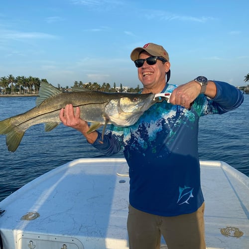 Loxahatchee River Snook in Jupiter
