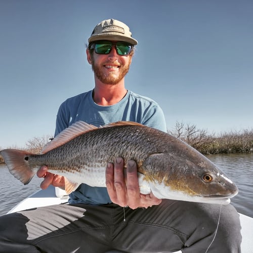 Fly Fishing Galveston In Galveston