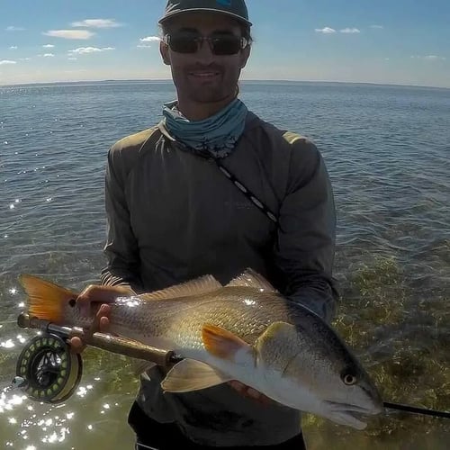 Fly Fishing Galveston In Galveston