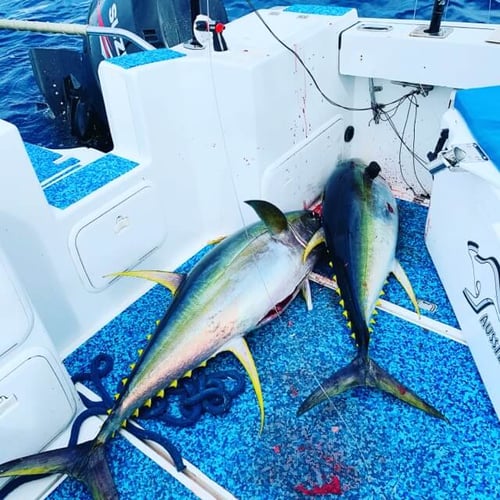 Eastside Sportfishing Half Day In Kapaʻa