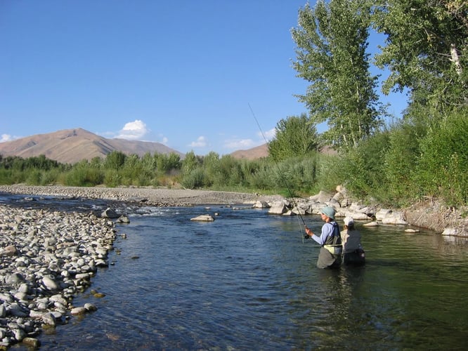 Idaho Trout Adventure In Ketchum