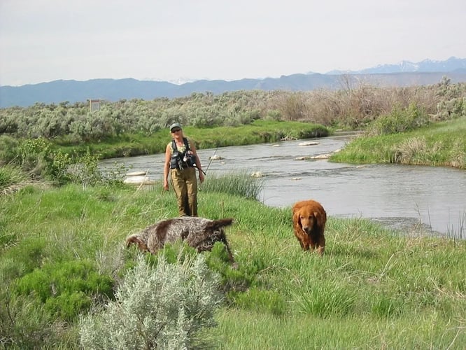 Idaho Trout Adventure In Ketchum