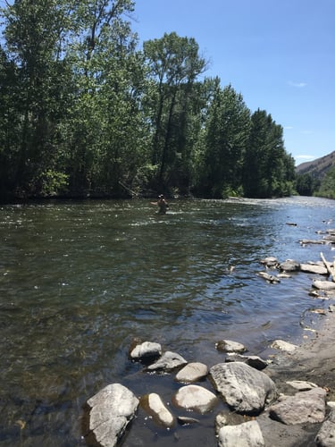 Idaho Trout Adventure in Ketchum
