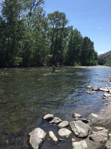 Idaho Trout Adventure In Ketchum