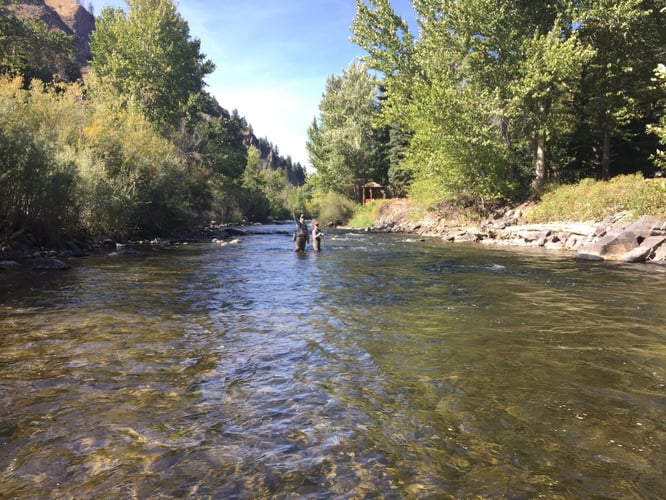 Idaho Trout Adventure In Ketchum