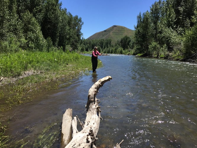 Idaho Trout Adventure In Ketchum