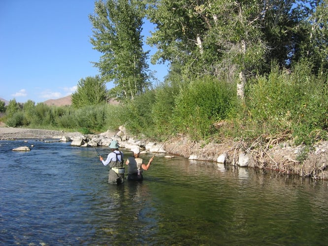 Idaho Trout Adventure In Ketchum